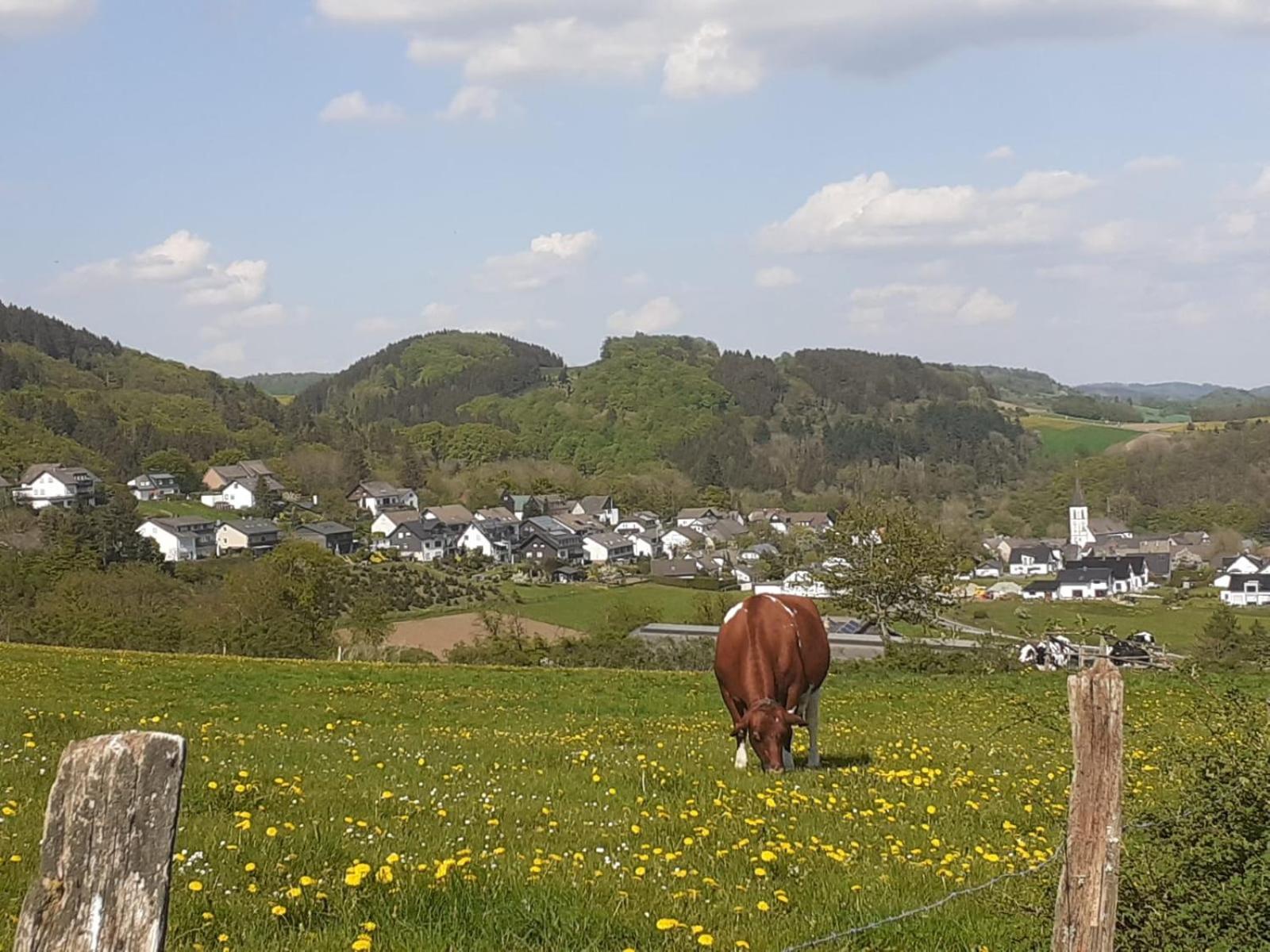 Ferienwohnungen Sternenhimmel Whg 1 Medebach Exteriér fotografie